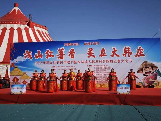 科技赋能甘薯产业 打造乡村振兴样板——北京科技发展推广的实践与探索